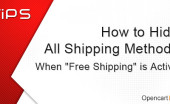 how-to-hide-shipping-methods-when-free-shipping-is-active